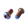Torx Oval Head Titanium Alloy Machine Screw