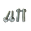 Slotted Hex Washer Head Bolt