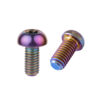 Torx Oval Head Titanium Alloy Machine Screw