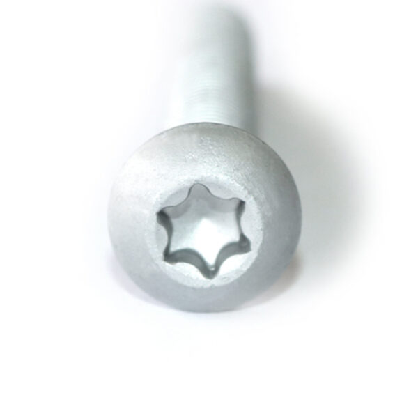 5 Torx Oval Head Anti-theft Screw