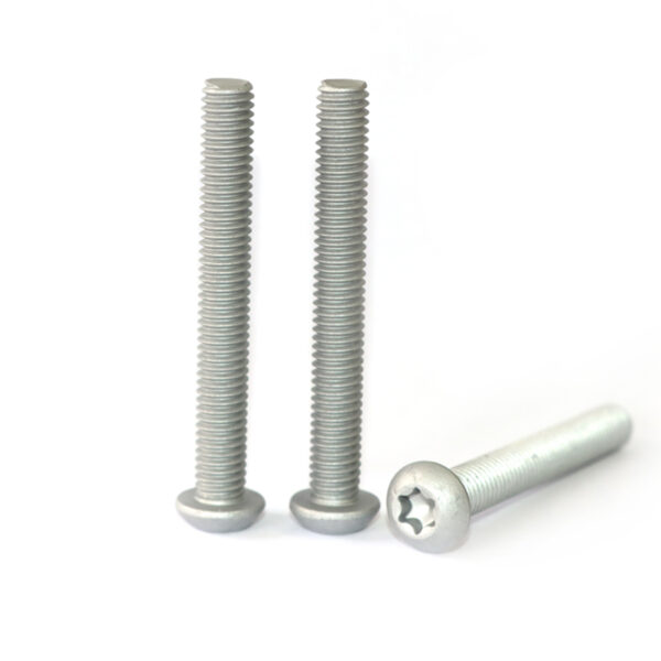 6 Torx Oval Head Anti-theft Screw