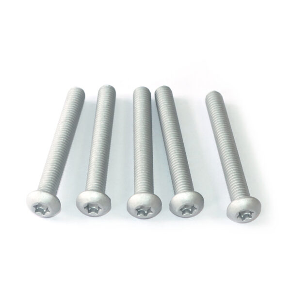 9 Torx Oval Head Anti-theft Screw