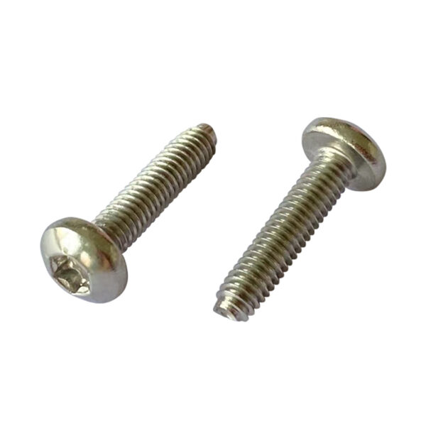 Torx Pan Head Self-Tapping Locking Screw