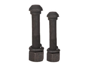 Elliptic Neck Track Bolts, Round Head Rail Fish Bolt