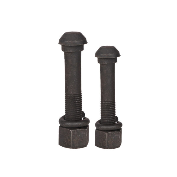 Elliptic Neck Track Bolts, Round Head Rail Fish Bolt