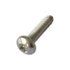 Torx Pan Head Self-Tapping Locking Screw