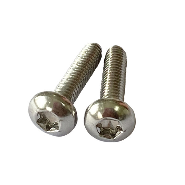 Torx Pan Head Self-Tapping Locking Screw