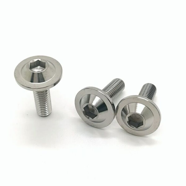 Titanium Alloy Umbrella Head Screw