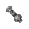 Carriage Bolt Set With Hex Nut, Rail Screw