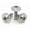 Titanium Alloy Umbrella Head Screw