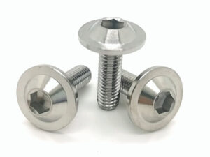 Titanium Alloy Umbrella Head Screw