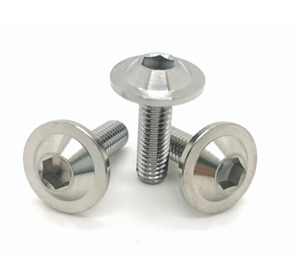 Titanium Alloy Umbrella Head Screw
