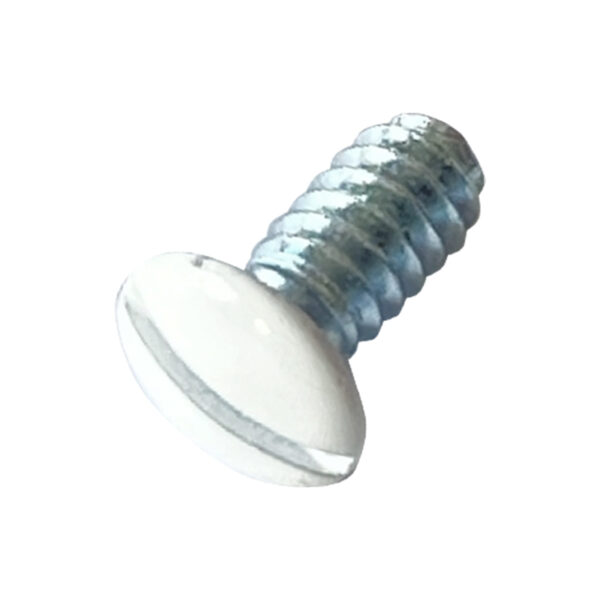 Paint Coating